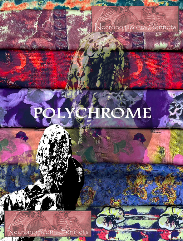 NECSONNETS x POLYCHROME