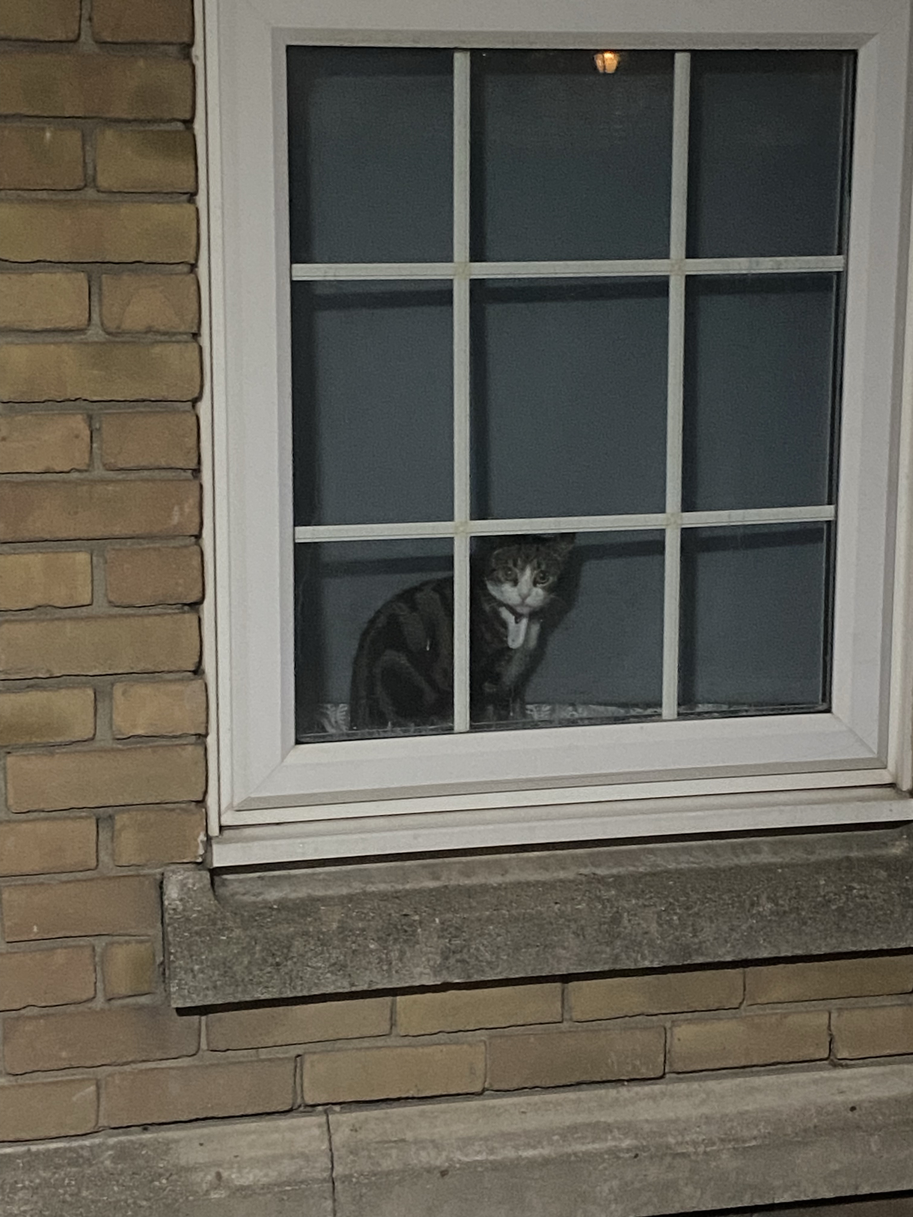 Protected: Excerpt from the dream&nbsp;diary